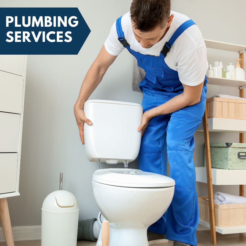 Plumbing Company in Leonidas, MI